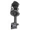 Strut & Spring Assembly