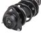 Strut & Spring Assembly