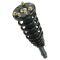 09-14 Acura TL Front Strut & Spring Assembly LF