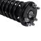 Strut & Spring Assembly