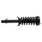 Strut & Spring Assembly