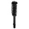 Strut & Spring Assembly