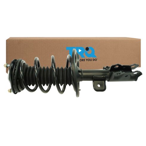 Strut & Spring Assembly
