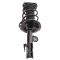 Strut & Spring Assembly