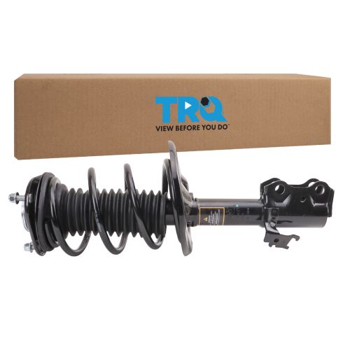 Strut & Spring Assembly