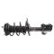 Strut & Spring Assembly