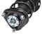 Strut & Spring Assembly