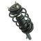 10-13 Ford Transit Connect Front Strut & Spring Assembly RF