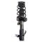 Strut & Spring Assembly