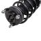 Strut & Spring Assembly