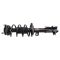 Strut & Spring Assembly