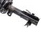 Strut & Spring Assembly