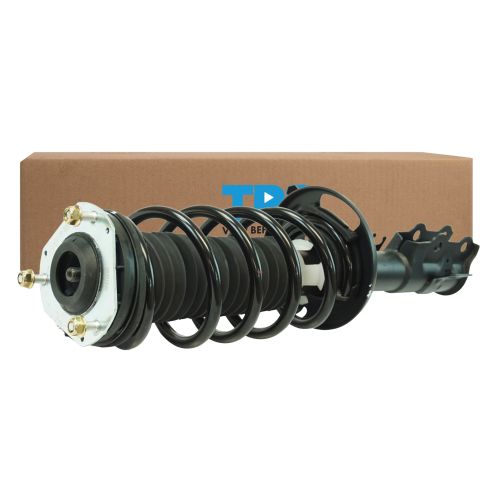 Strut & Spring Assembly