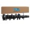 Strut & Spring Assembly