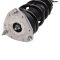 Strut & Spring Assembly