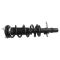 Strut & Spring Assembly