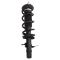 Strut & Spring Assembly