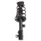 Strut & Spring Assembly
