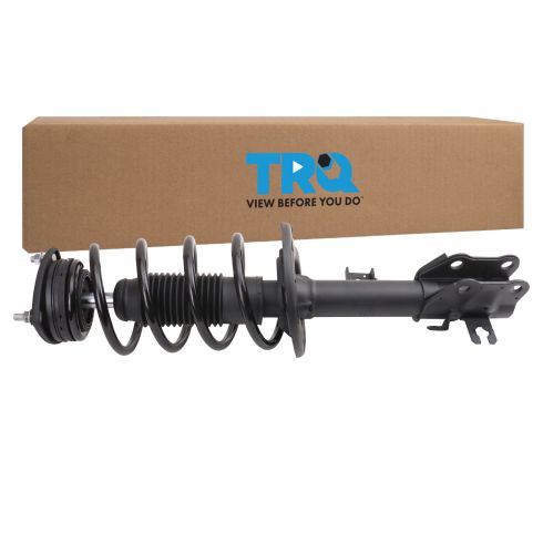Strut & Spring Assembly