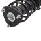 Strut & Spring Assembly