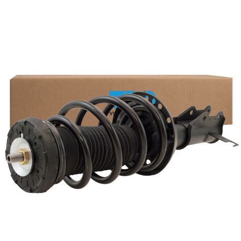 Strut & Spring Assembly