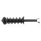 Strut & Spring Assembly