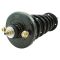 09-14 Acura TL Rear Strut & Spring Assembly RR