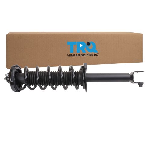 Strut & Spring Assembly
