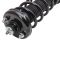 Strut & Spring Assembly