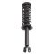 Strut & Spring Assembly