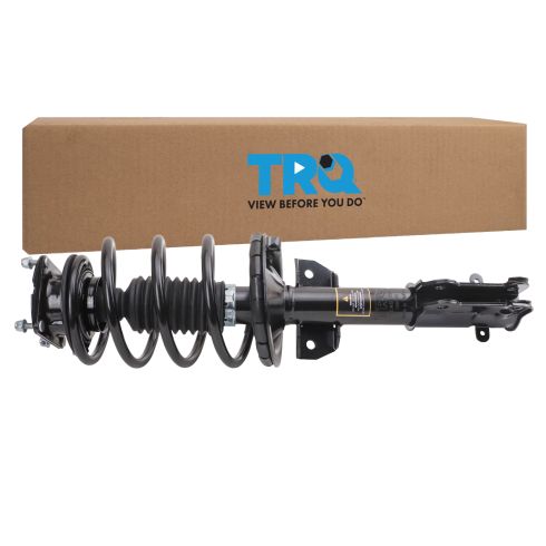 Strut & Spring Assembly