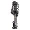 Strut & Spring Assembly