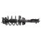 Strut & Spring Assembly