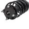 Strut & Spring Assembly