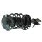 Strut & Spring Assembly