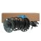 Strut & Spring Assembly