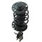Strut & Spring Assembly