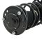Strut & Spring Assembly