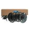 Strut & Spring Assembly