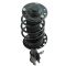 Strut & Spring Assembly