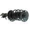 Strut & Spring Assembly