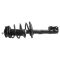 Strut & Spring Assembly