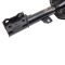 Strut & Spring Assembly