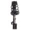 Strut & Spring Assembly