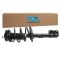 Strut & Spring Assembly