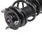 Strut & Spring Assembly