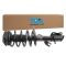Strut & Spring Assembly