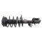 Strut & Spring Assembly