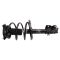 Strut & Spring Assembly