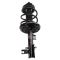 Strut & Spring Assembly